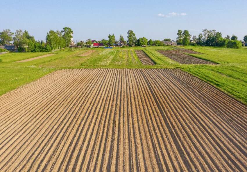 terreno agricolo